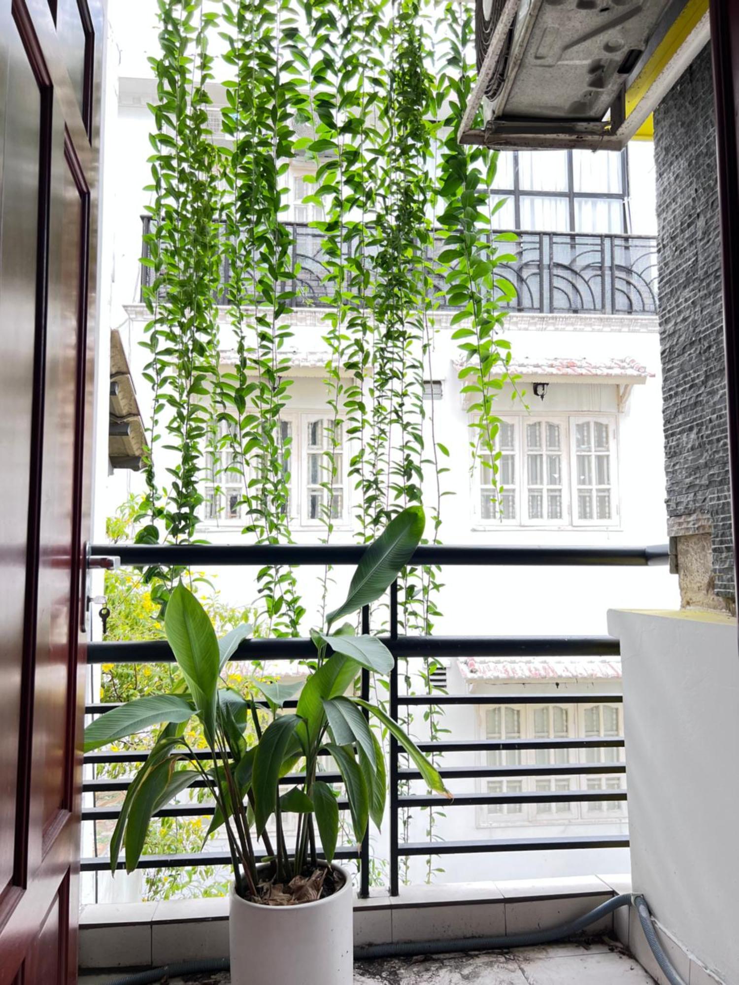 Co Homestay Saigon Ciudad Ho Chi Minh  Exterior foto